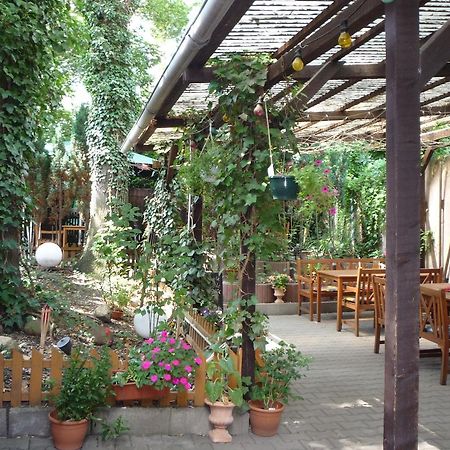 Gasthof & Pension Hause Halle  Εξωτερικό φωτογραφία